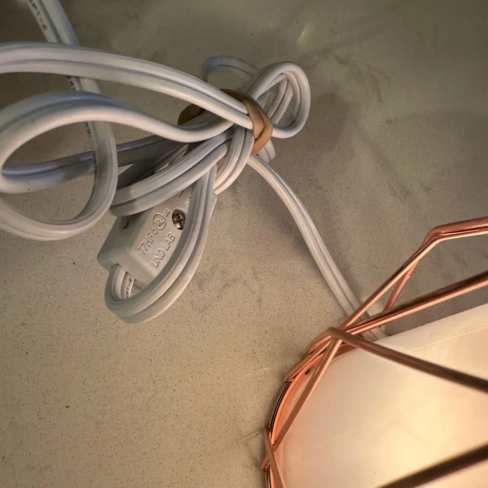 Scentsy Wire‎ You Blushing Plug In Warmer Night Light